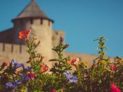 Эстония отменяет карантин для вакцинированных туристов