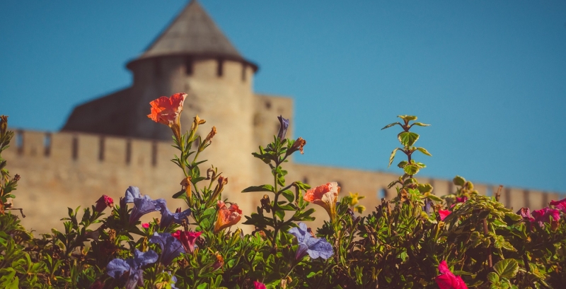 Эстония отменяет карантин для вакцинированных туристов