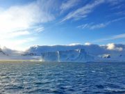 Google посвятил дудл 25-летию станции «Академик Вернадский»: что еще известно о работе ученых