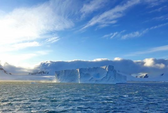 Google посвятил дудл 25-летию станции «Академик Вернадский»: что еще известно о работе ученых