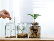 От велосипеда до екошопера: как жить экологически и экономно