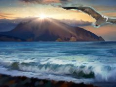 Эксперт рассказал об экономическом развитии Крыма за семь лет в составе России